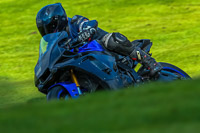 PJ-Motorsport-Photography-2020;anglesey;brands-hatch;cadwell-park;croft;donington-park;enduro-digital-images;event-digital-images;eventdigitalimages;mallory;no-limits;oulton-park;peter-wileman-photography;racing-digital-images;silverstone;snetterton;trackday-digital-images;trackday-photos;vmcc-banbury-run;welsh-2-day-enduro